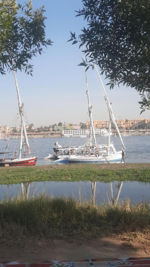Villa Victoria Old Nile View Luxor Ngoại thất bức ảnh